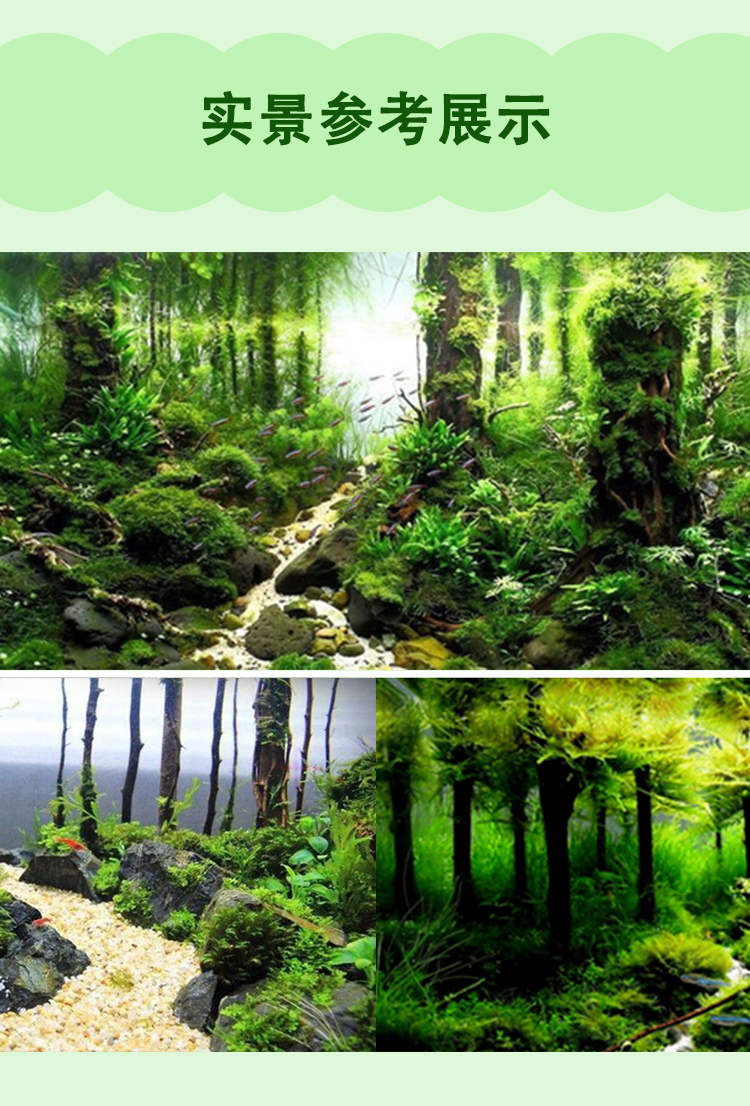 鱼缸造景沉木树森林一木成景莫斯树草缸水族懒人树小树林成品骨架5组