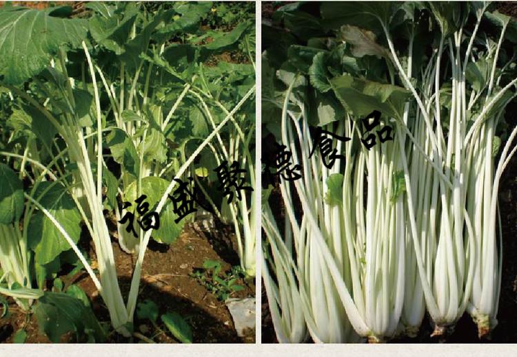 湖北随州广水特产高杆白菜盐菜酸菜高山箭杆白菜腌菜咸菜4斤
