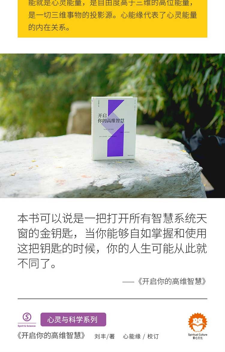 开启你的高维智慧 刘丰,心能缘 中国青年出版社