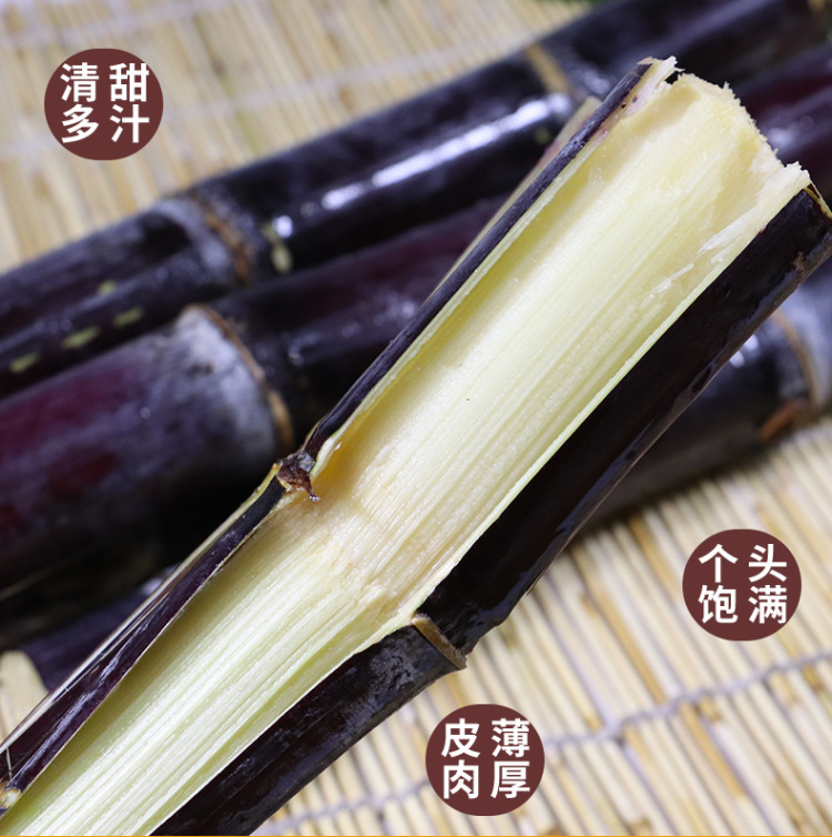 新鲜黑皮甘蔗水果甘蔗糖蔗当季正宗广西特产农家脆甜甘蔗 1斤装