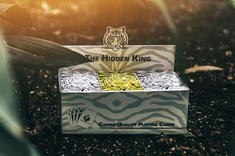 花切扑克牌魔术扑克牌扑克thehiddenking花切扑克练习单车牌扑克牌