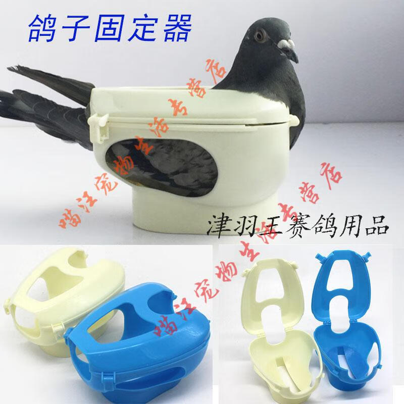 豆乐奇津羽王鸽具鸽子用品信鸽赛鸽束鸽器喂药注射器看鸽眼固定架固定
