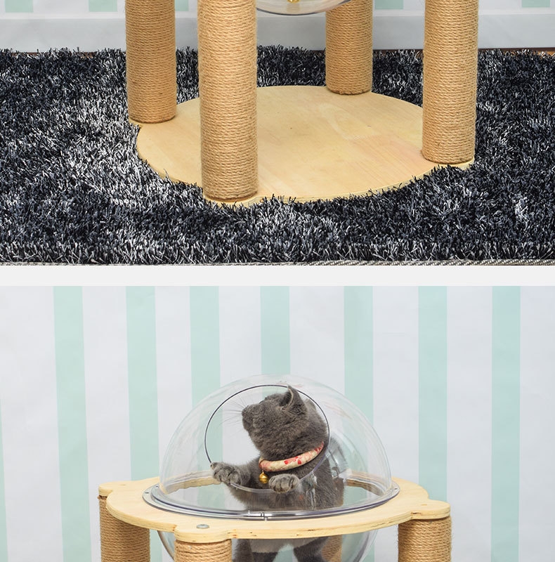 亚克力猫别墅透明亚克力猫窝封闭式猫咪太空舱四季猫笼子球形别墅猫屋