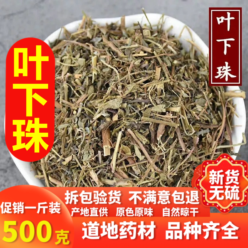 同仁堂叶下珠野生珍珠草中药材叶下珠茶珠仔草中草药店铺