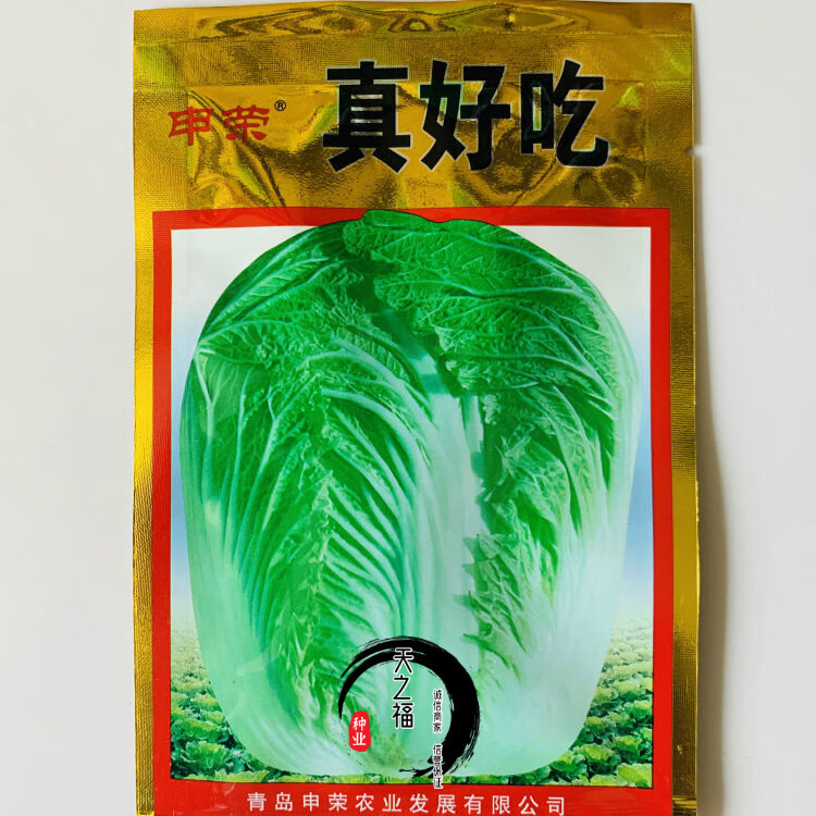 87114大白菜种子高产耐寒抗病毒耐贮藏秋冬黄心白菜种籽蔬菜籽孑崂峰