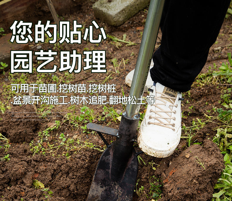 定制适用挖树铲子铁锹加厚锰钢洛阳铲起树根移苗挖土坑沟神器户外挖洞