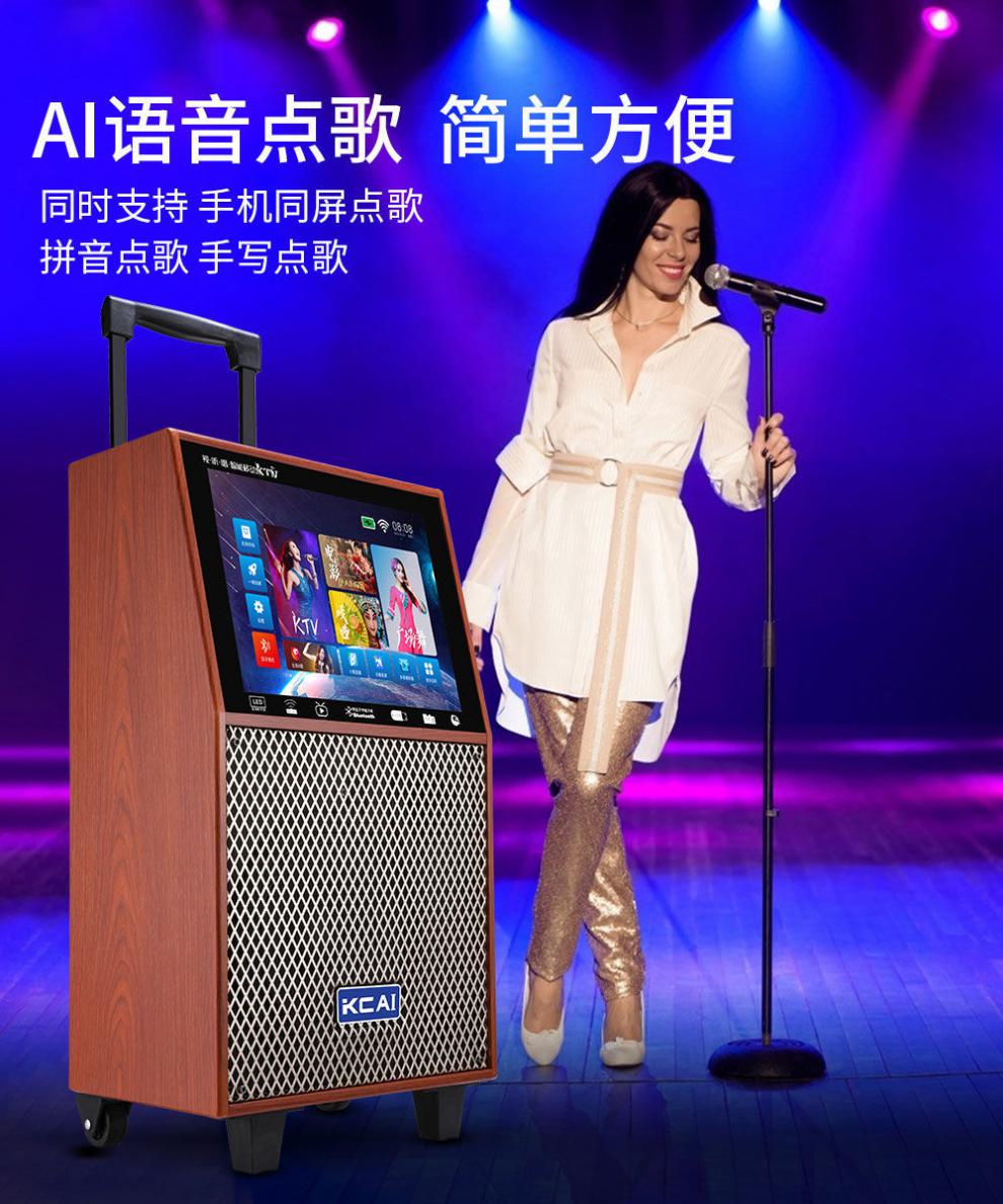 索尼sony通用广场舞音响带视频显示屏幕大音量户外k歌音响家用唱歌ktv