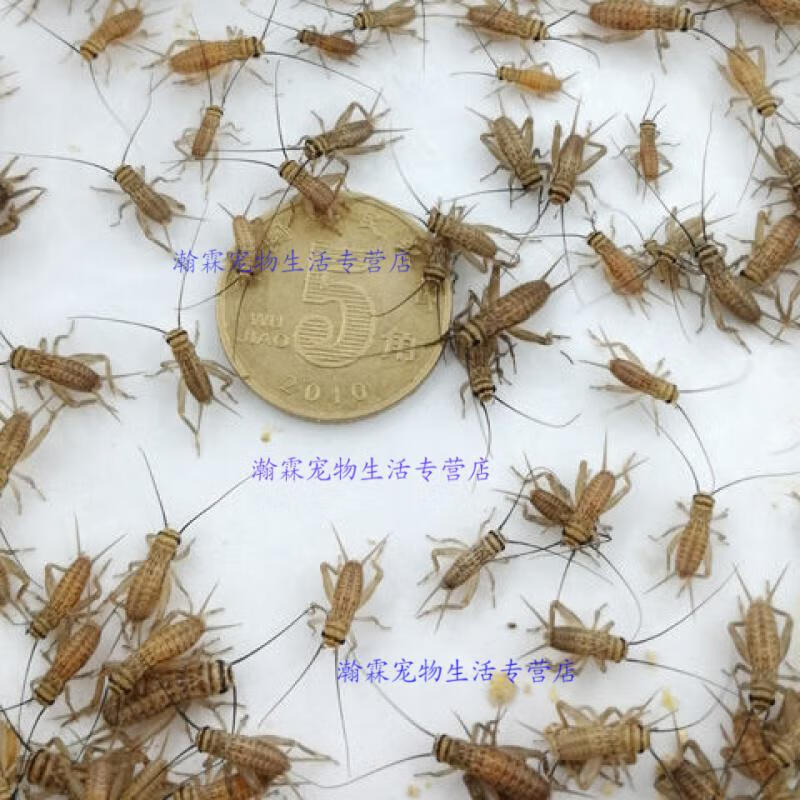 72cbb9acb18aaaaf.jpg