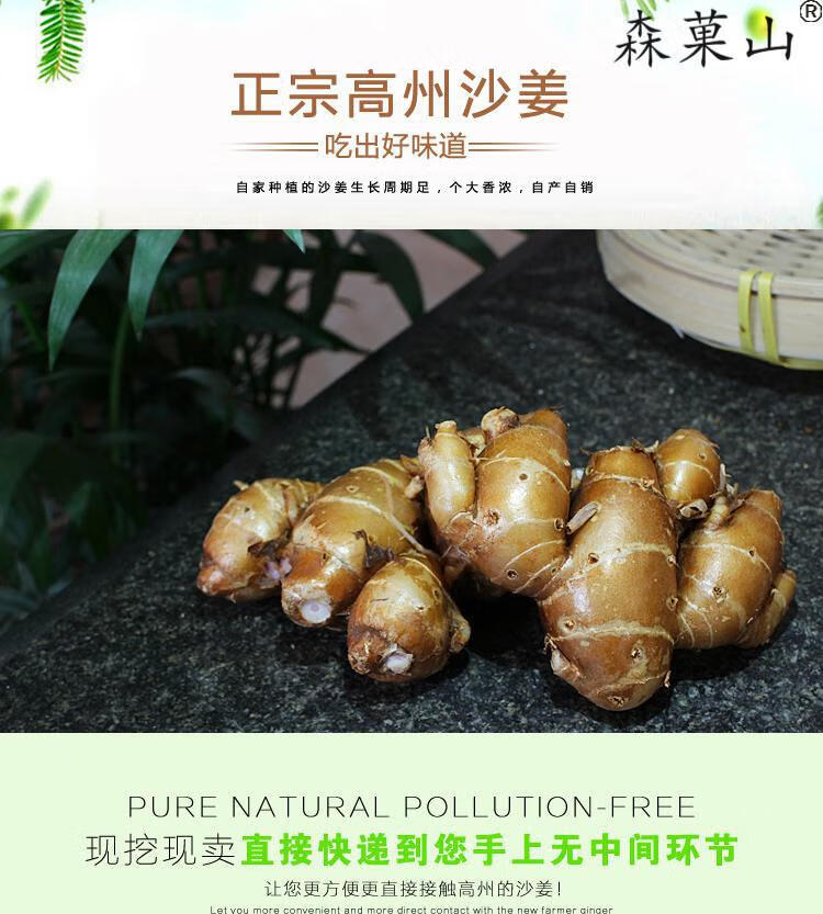 新鲜沙姜正宗广东茂名特产沙姜山奈白切鸡调味配料老生姜1斤