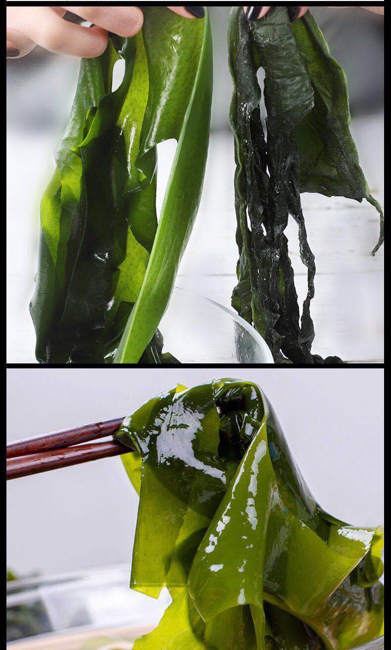 5斤箱盐渍裙带菜即食裙带凉拌菜干裙带菜鲜嫩海菜丝5斤盐渍长厚海带丝