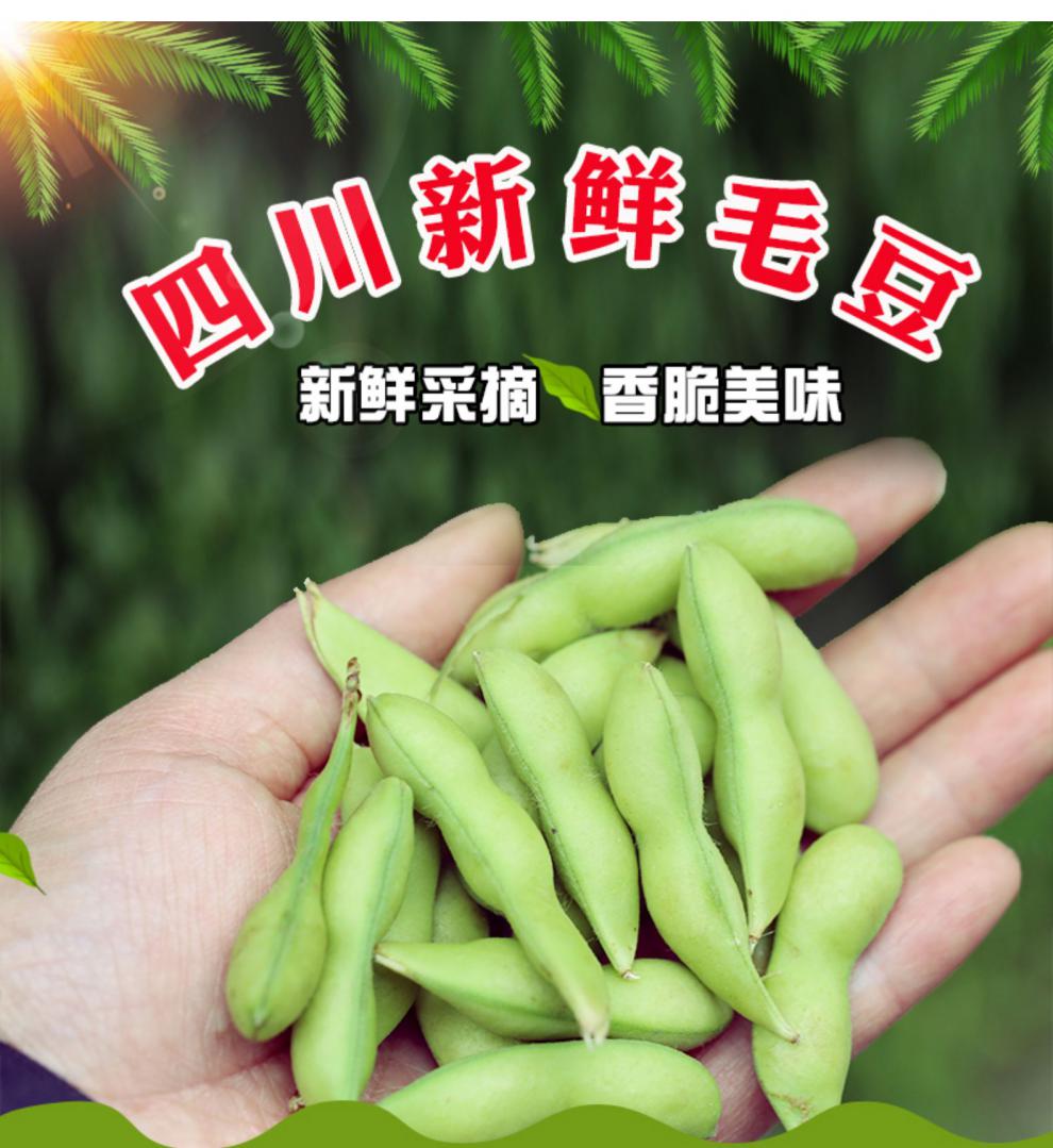 毛豆新鲜带壳现摘生毛豆嫩毛豆角青豆米卤煮凉拌四川农家自种蔬菜5斤
