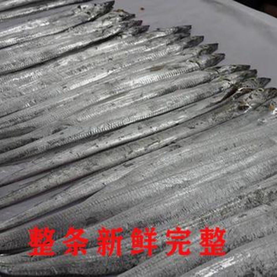 大连野生大刀鱼渤海附近海捕大带鱼单条单冻鲜冻锁鲜水产4斤6条装