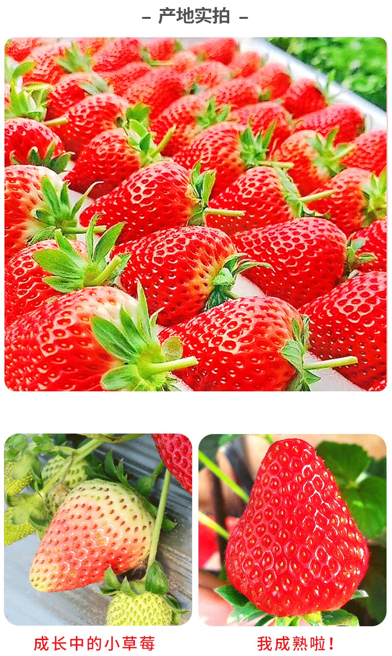 57f67537f0faac54.png