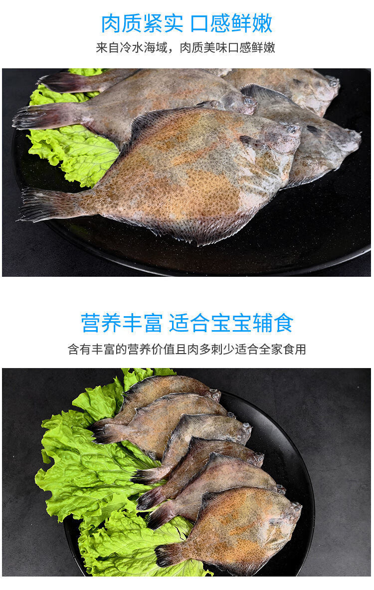 顺丰鼓眼鱼青岛偏口鱼鲜活高眼鱼豆鼓鱼生鲜牙片鱼偏口鱼生鲜诺斯食美