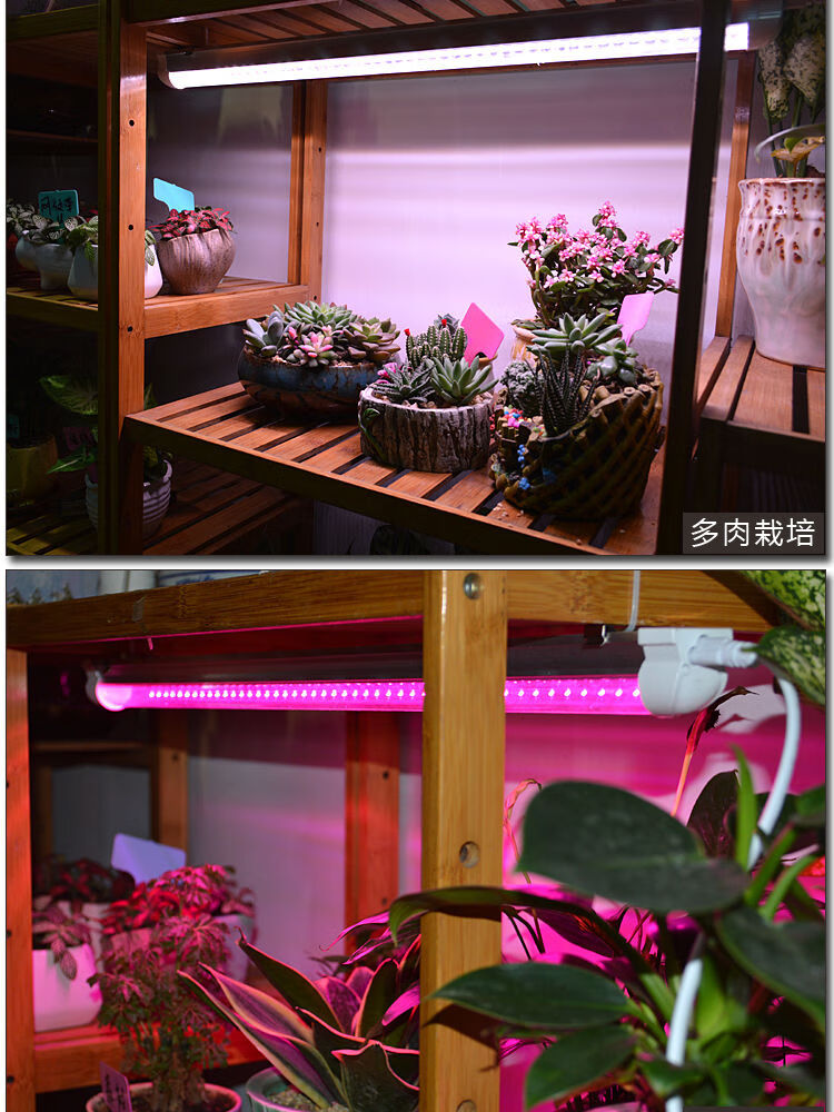 植物补光灯多肉补光灯led仿太阳光室内家用花卉绿植上色全光谱植物灯