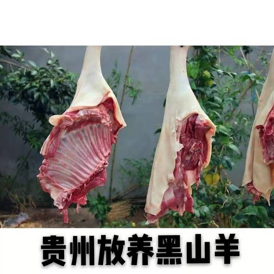 贵州放养黑山羊肉新鲜带皮羊肉批发羊肋排骨现杀带皮羊腿芳玫3斤带皮