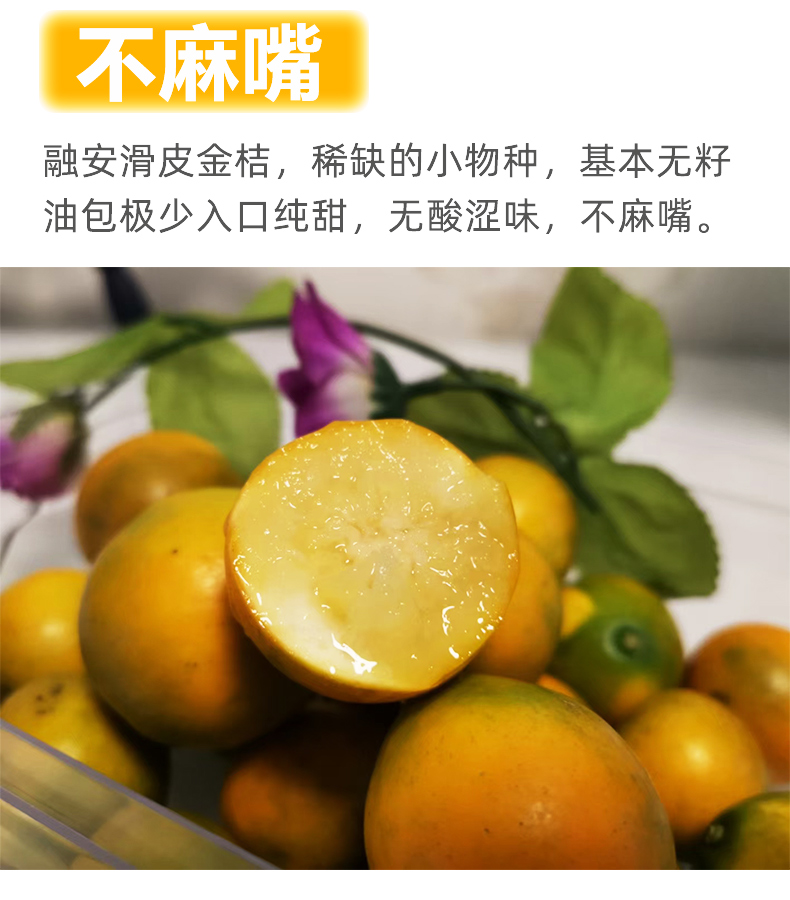 顺丰直达脆蜜金柑广西融安金桔滑皮金桔当季新鲜孕妇水果脆皮金橘脆蜜