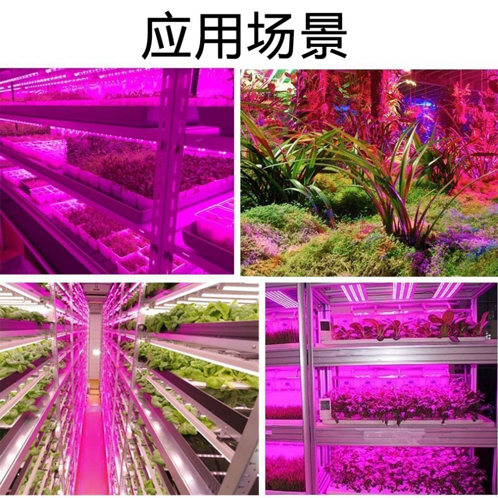 多肉补光灯灯带植物灯带多肉补光灯5v室内绿植花果蔬光谱led补光灯