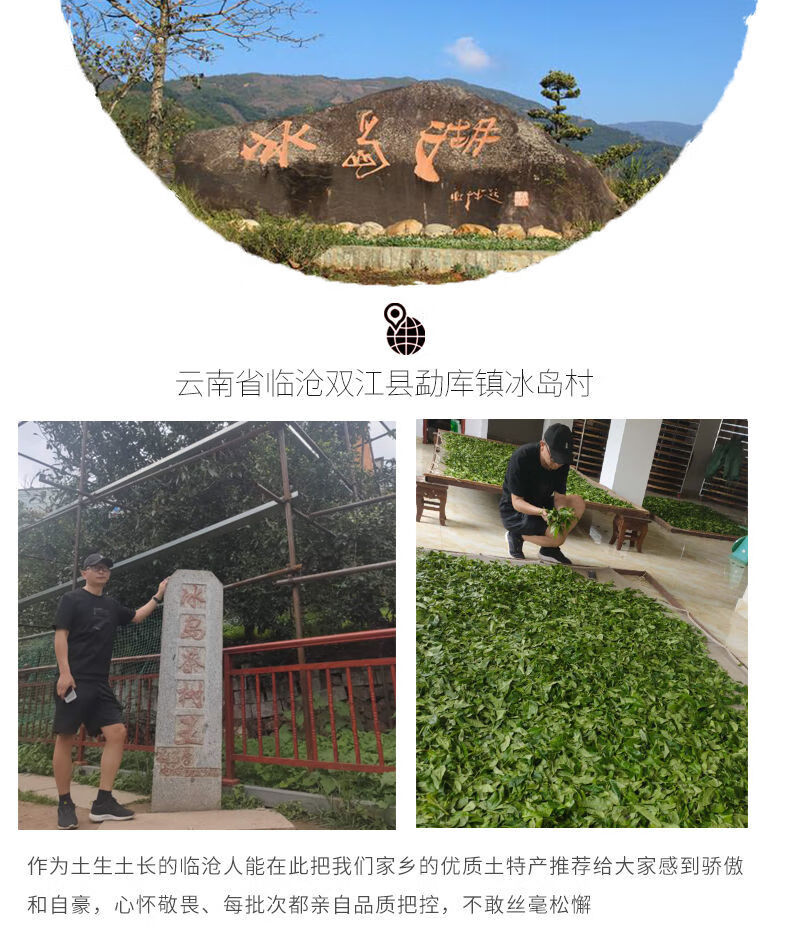 茗播昔归云南普洱毛茶生茶散茶春茶叶散茶生普古树送礼茶1500克冰岛茶