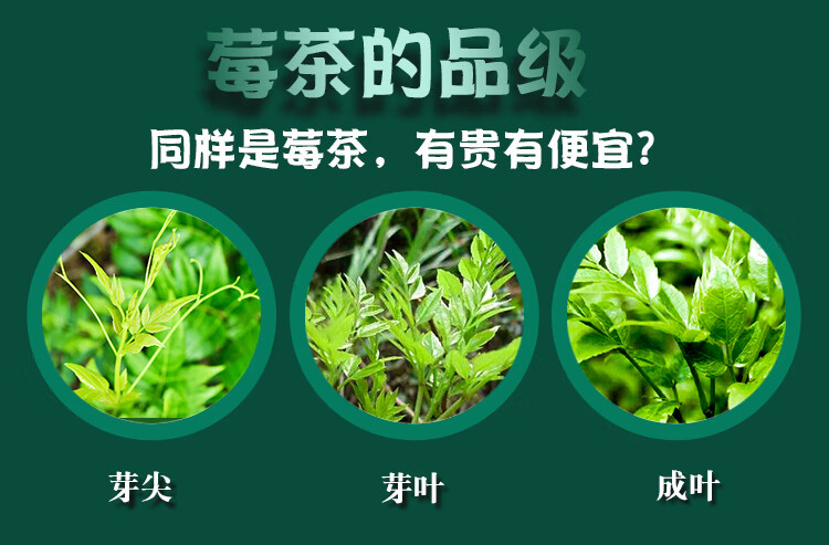 芽尖莓茶张家界土家龙须湘西永顺霉茶喜妹藤茶恩施sn7306250克2罐装