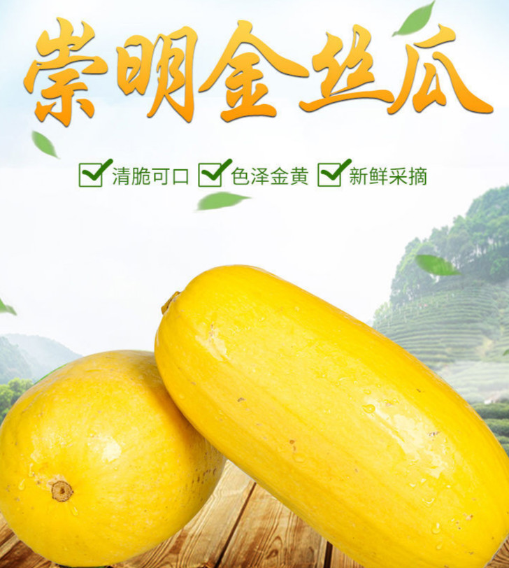 崇明金瓜金瓜金丝瓜拉丝新鲜角瓜搅瓜绞瓜瓜正宗黄金瓜崇明特产新款4