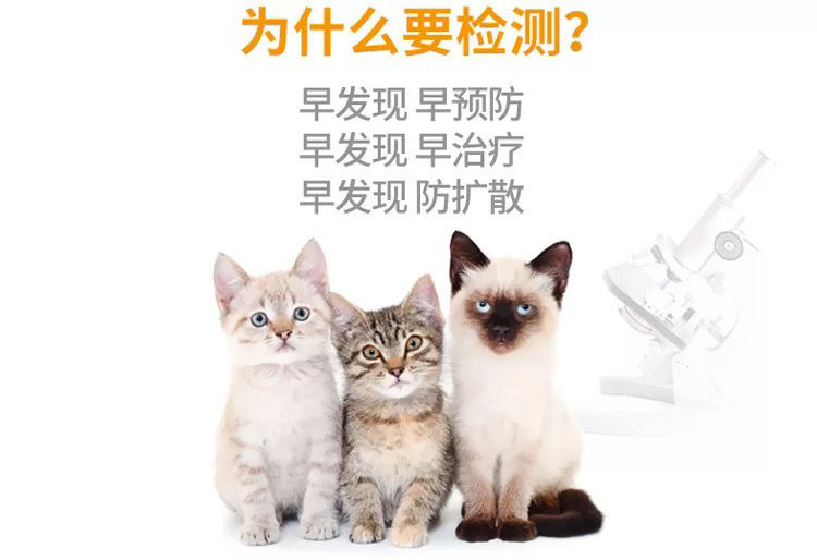 猫瘟试纸猫鼻支试纸猫传腹试纸弓形虫猫杯状猫冠状试纸猫咪检测猫瘟猫