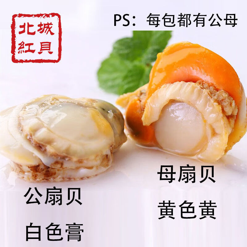 新鲜速冻带黄超大扇贝肉海鲜顺丰冷冻 北城红贝250g