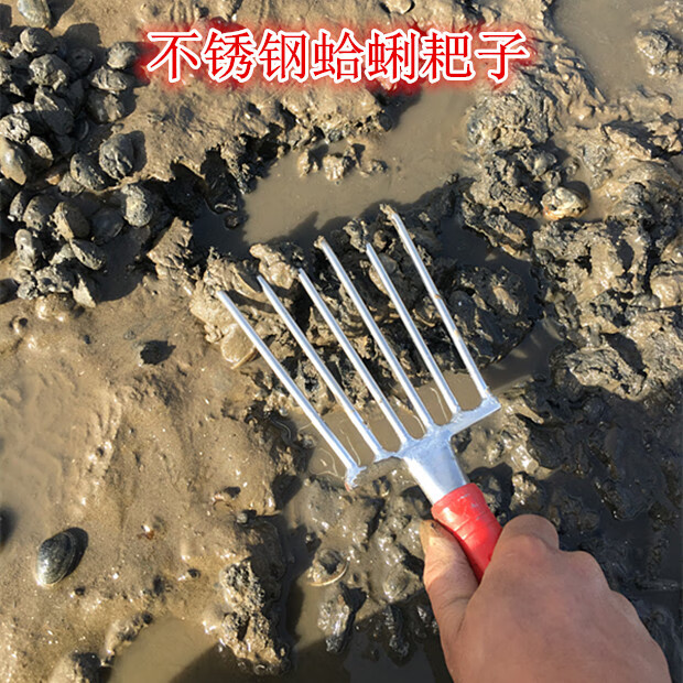 蛤蜊耙子沙滩不锈钢挖贝壳海鲜蛏子蚬子小耙子赶海工具5齿沙滩耙