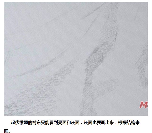 美术衬布绘画素描蜡果陶瓷石膏像美术静物毕业设计展背景布1.6米2.