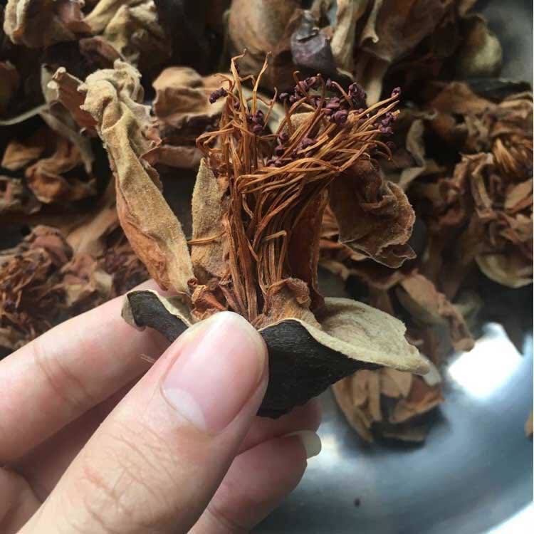 新货晒干野生木棉花干花煲汤料广东五花茶煲茶干货料泡茶50g500g鸡蛋