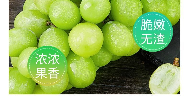 鲜果无籽青提新鲜绿提子葡萄秋天酥当季新鲜水果脆甜精品秘鲁青提3斤