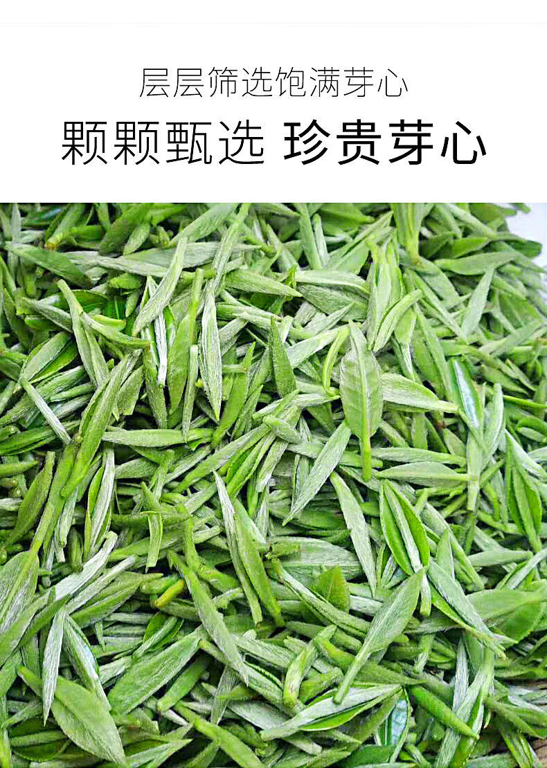 茶叶绿茶2022新茶茶叶批发午子绿茶散装嫩芽茶10选择50g袋装