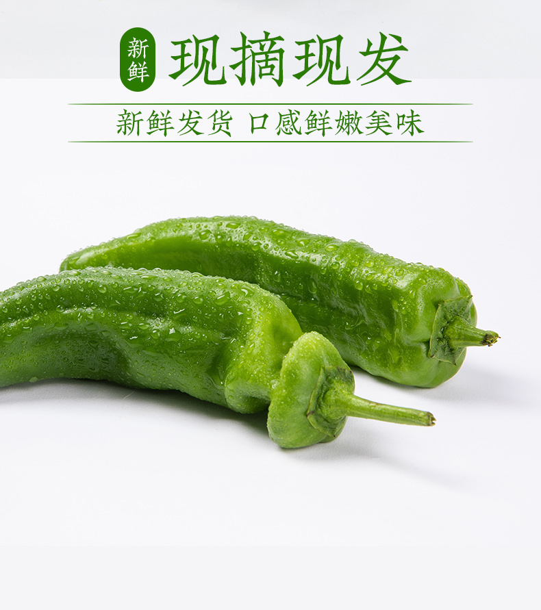 青椒新鲜土辣椒螺丝椒尖椒农家菜5斤大菜椒皱皮薄皮虎皮蔬菜