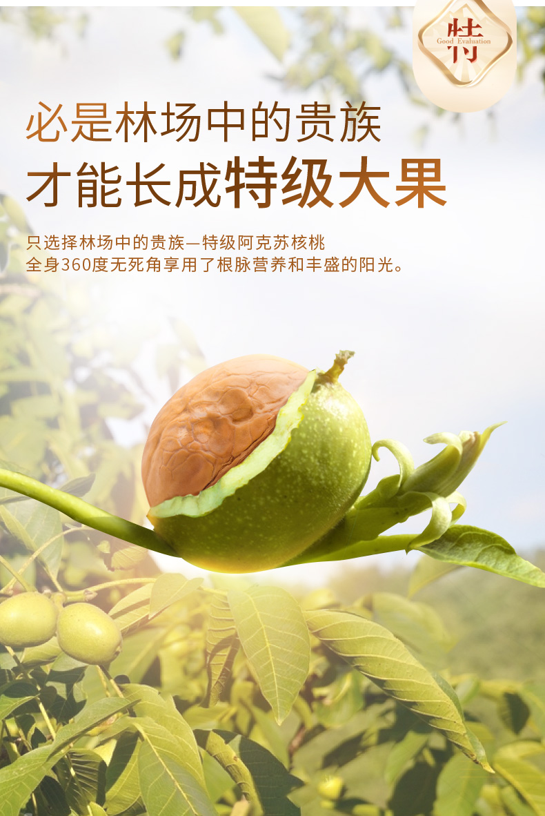 好想你 新疆纸皮核桃258g*3袋 图4