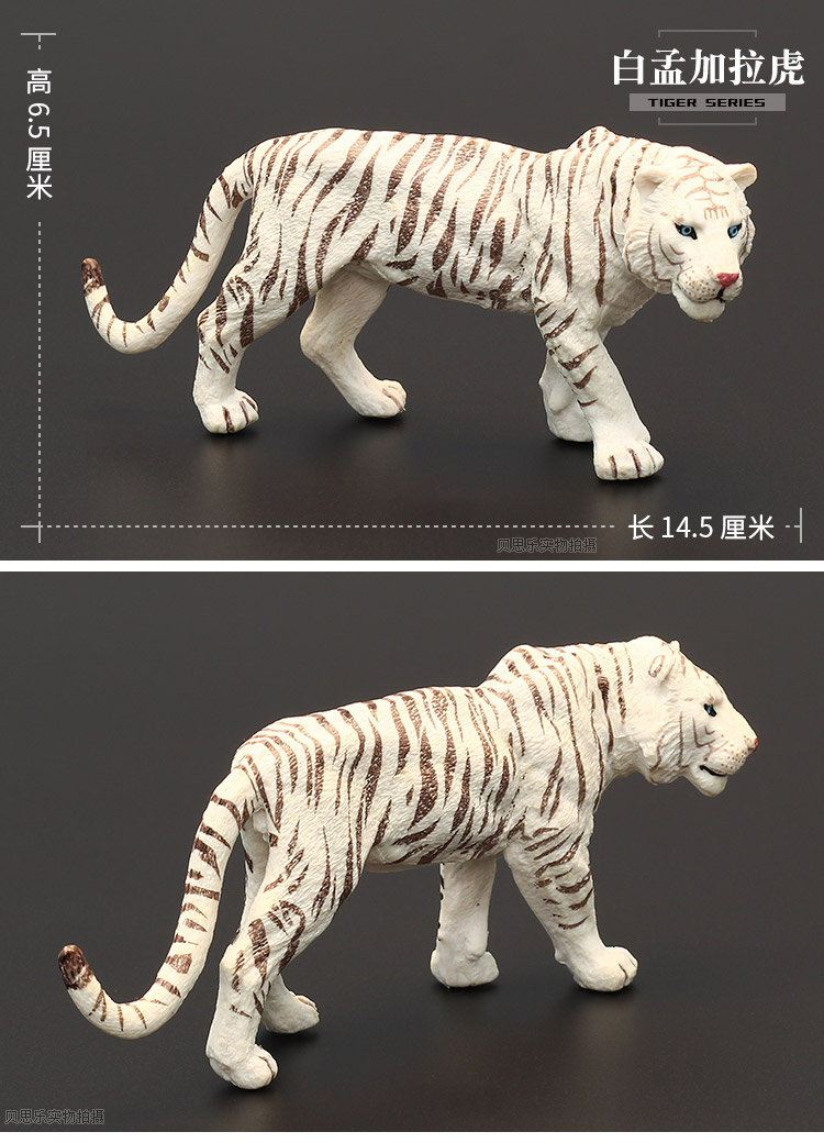 儿童仿真动物玩具野生动物模型实心大号老虎剑齿虎孟加拉虎园 老虎
