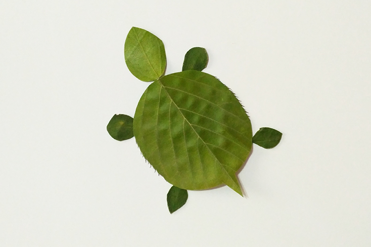 叶画树叶粘贴画植物标本金鱼蝴蝶真叶子作画幼儿园学生手工塑封膜图片