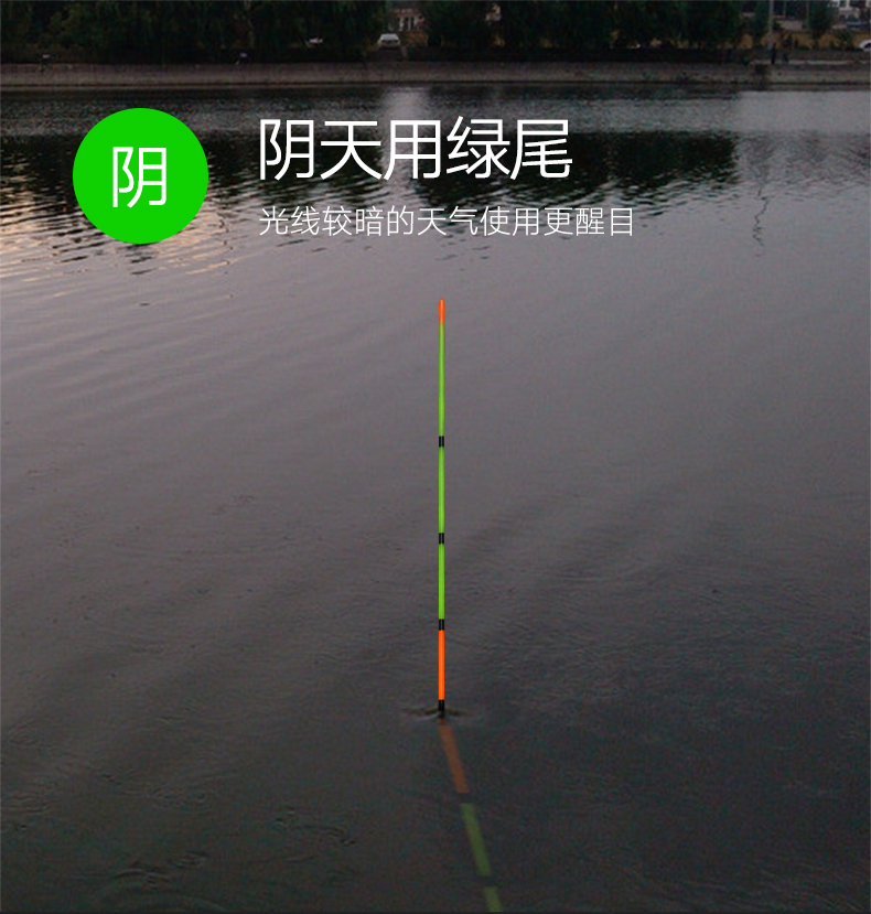 芦王 纳米鱼漂高灵敏度晴天尾阴天尾阴晴两用双尾浮漂