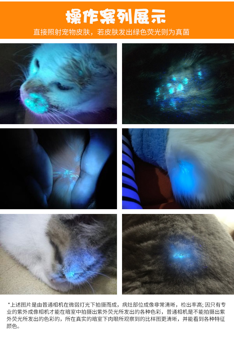 光途卫 照猫尿狗癣真菌宠物医院紫外线uv黑光检测灯 3w伍德灯 充电