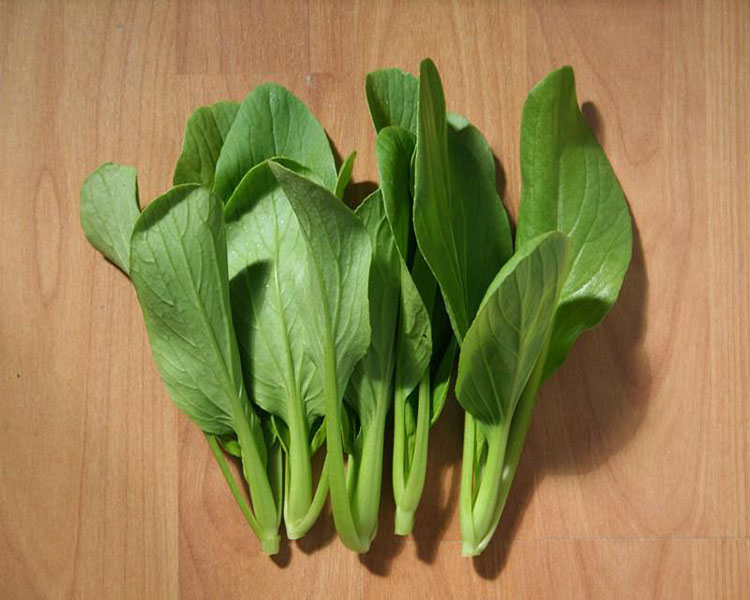 大白菜,豆苗,鸡毛菜英文怎么说-喜洋洋与灰太狼