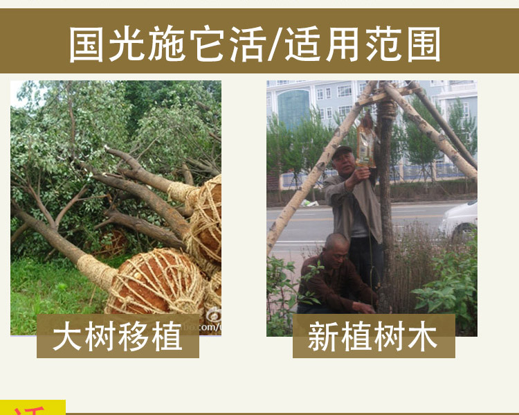 送钻头 国光施它活 营养液树木吊针液大树吊水花木绿化养护吊瓶 正远