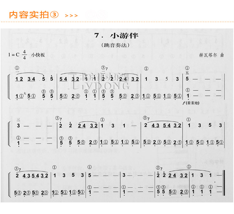 手风琴简谱教程万宝柱初学入门基础手风琴书籍手风琴教材_现价19元