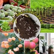 Fanliang FLDJL33 outdoor tools ordinary packaging nutrient soil cauliflower soil planting soil organic soil flower succulent peat 5 catties