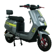 Mavericks Double Electric Bicycle Men's and Women's Mopeds Mavericks Leisure Electric Bike Overseas Import and Export