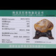 Shilei Pavilion Poly Tian Huangshi <Long Teng Sheng Shi> 2.3 kg large ornaments with distinct skin and flesh, delicate texture, warm and moist, Tianwei foot, high-quality stone collection Shilei Pavilion Poly Tian Huangshi <Long Teng Sheng Shi> 2.3 kg large ornaments with distinct skin and flesh, delicate texture, warm and moist, Tianwei foot, high-quality stone collection