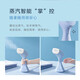 Panasonic Panasonic Household Garment Steamer Handheld Garment Steamer 1600W High Power NI-GHC030 Panasonic Panasonic Household Garment Steamer Handheld Garment Steamer 1600W High Power NI-GHC030