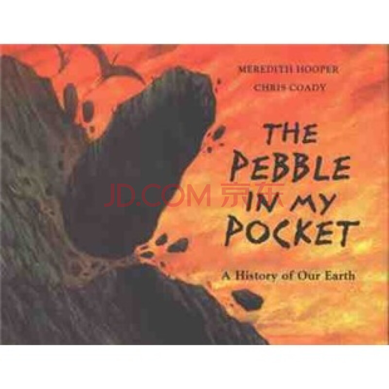 the pebble in my pocket: a history of our earth