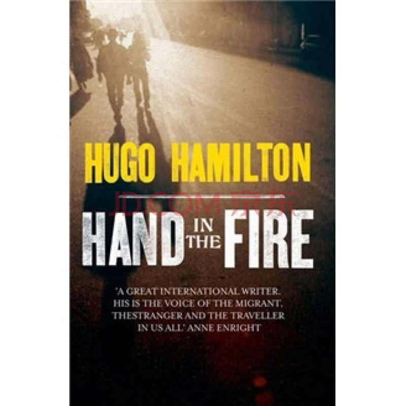 hand in the fire. hugo hamilton