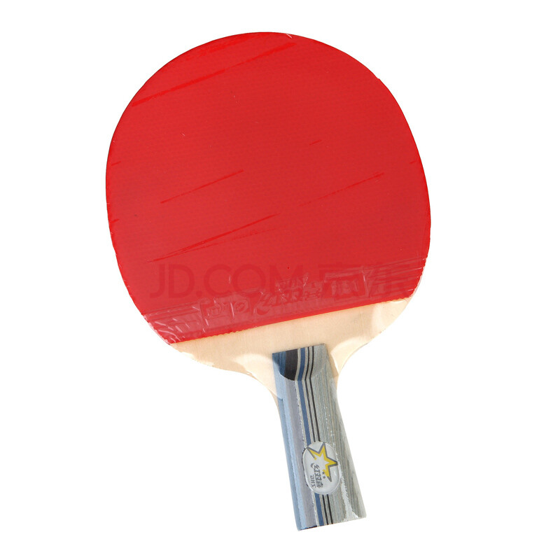 乒乓球拍 红双喜DNS 二星级直拍短柄双面反胶
