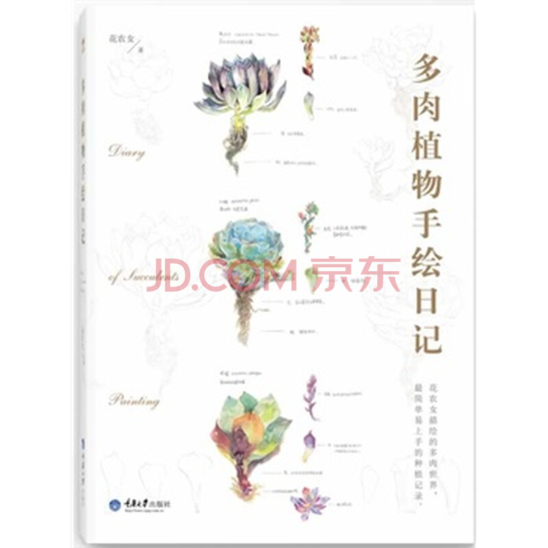 多肉植物手绘日记 花农女 9787562479024