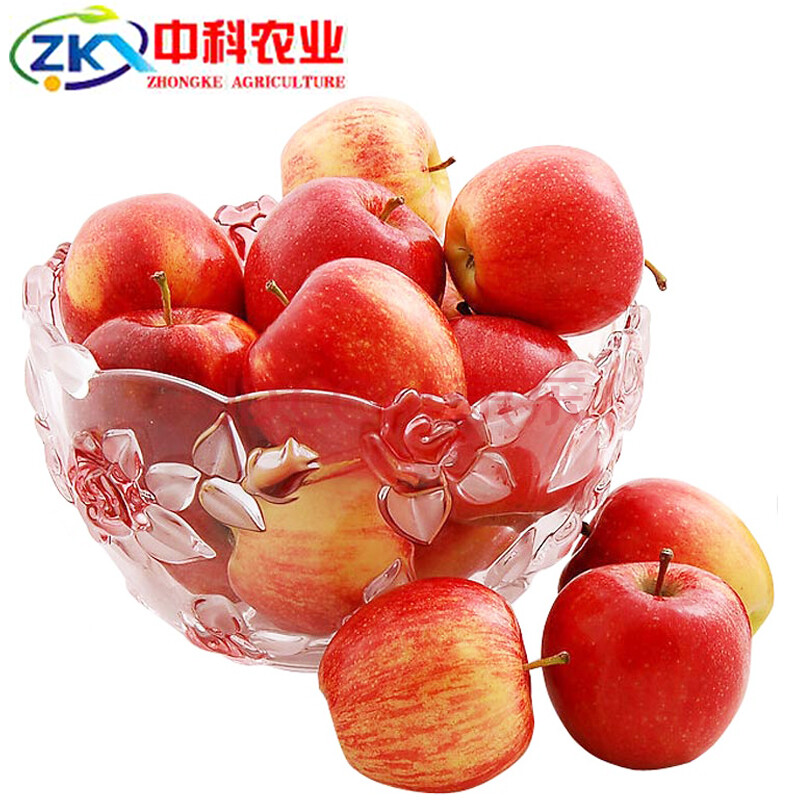 新西兰进口姬娜果\/加力果\/小苹果5